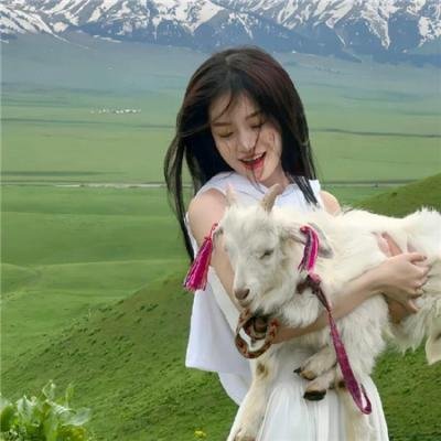 豹子头林冲之山神庙